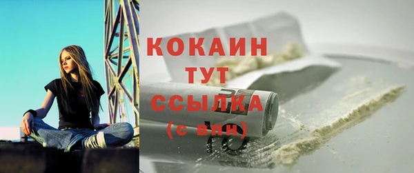 трава Белокуриха