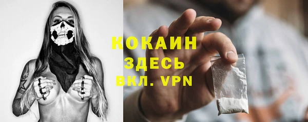 трава Белокуриха