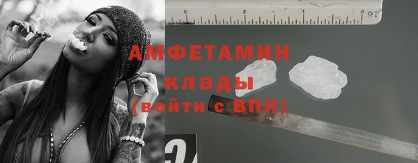 трава Белокуриха