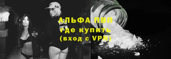 трава Белокуриха