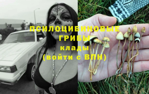 гашик Богородицк