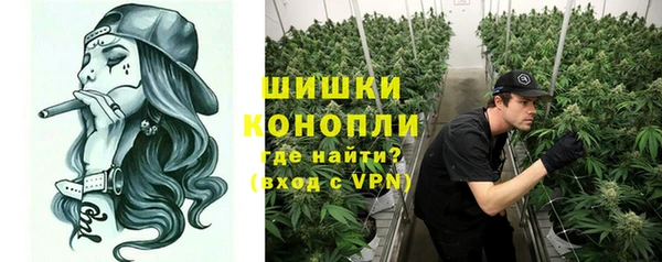 трава Белокуриха