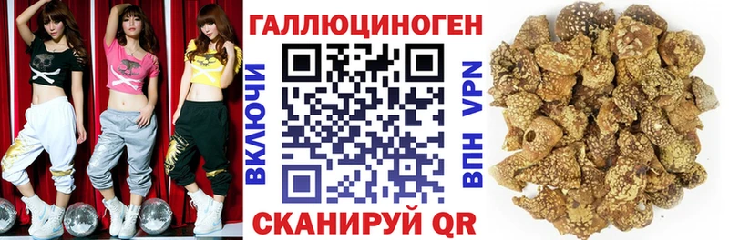 где найти наркотики  Белоозёрский  mega зеркало  Псилоцибиновые грибы ЛСД 